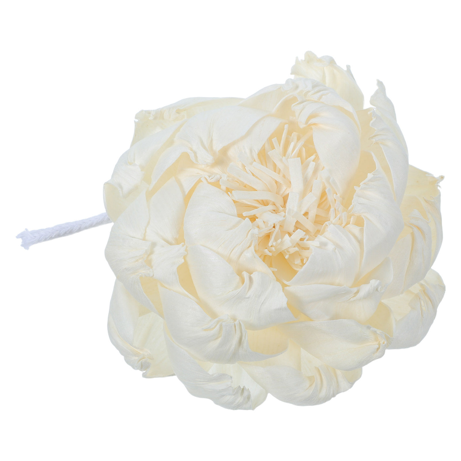 เครื่องกระจายกลิ่นหอมดอกโบตั๋น - Home Fragrance Usa บทวิจารณ์และราคา