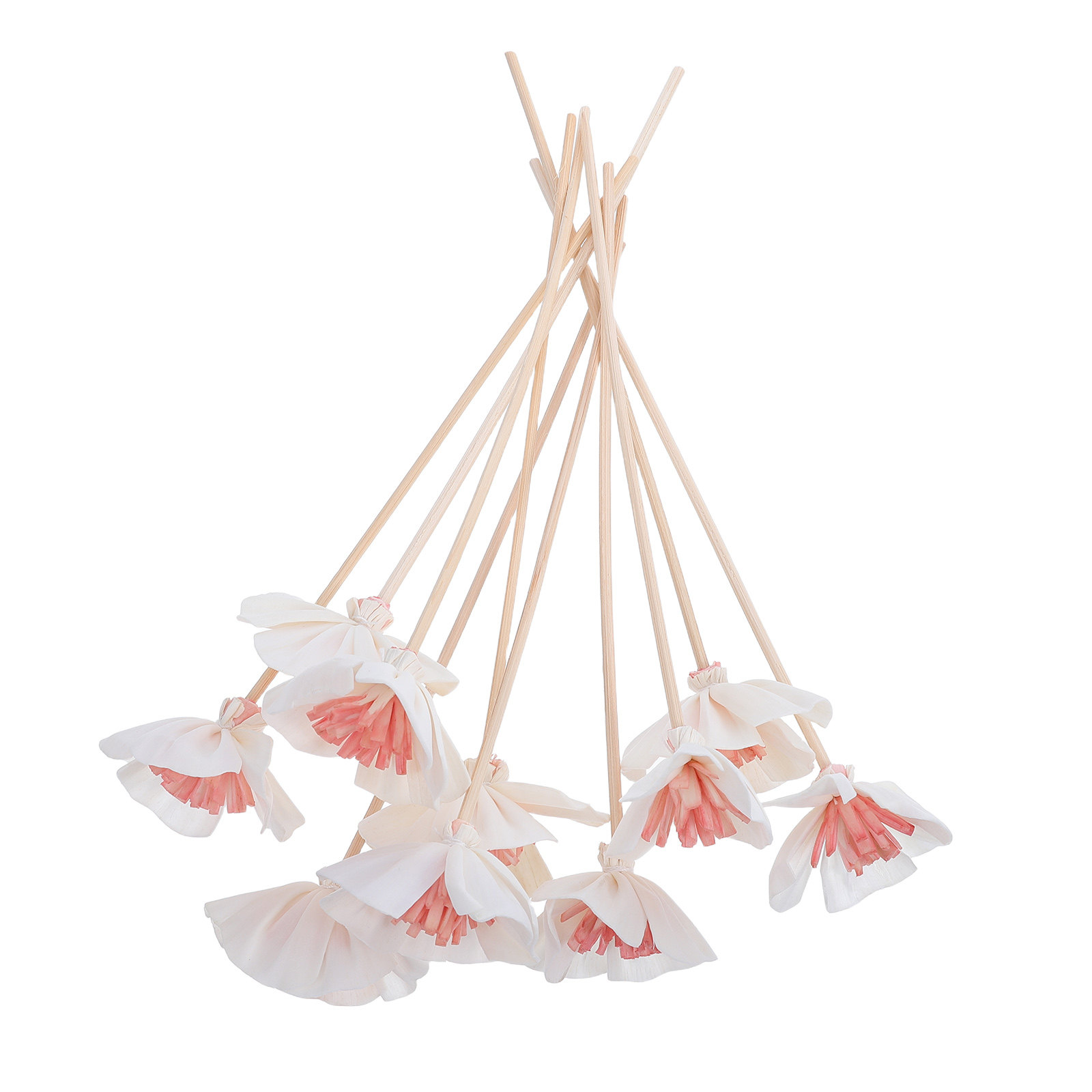 10 ชิ้น แท่งไฟเบอร์รูพรุนสีดำส - Home Fragrance Usa บทวิจารณ์และราคา